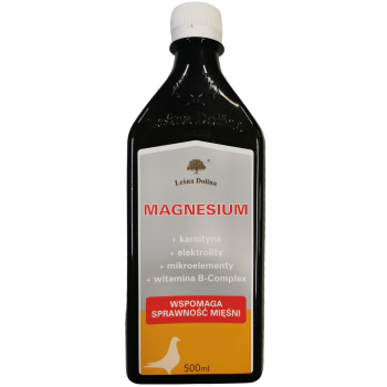 Leśna Dolina - Magnesium - 500ml (magnez + elektrolity + witamina B + makroelementy)